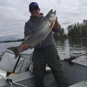 Meet your Posher, Ronnie